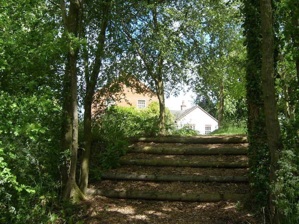 Bed & Breakfast The Hall Farm